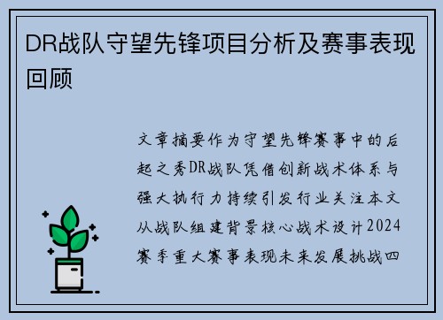 DR战队守望先锋项目分析及赛事表现回顾
